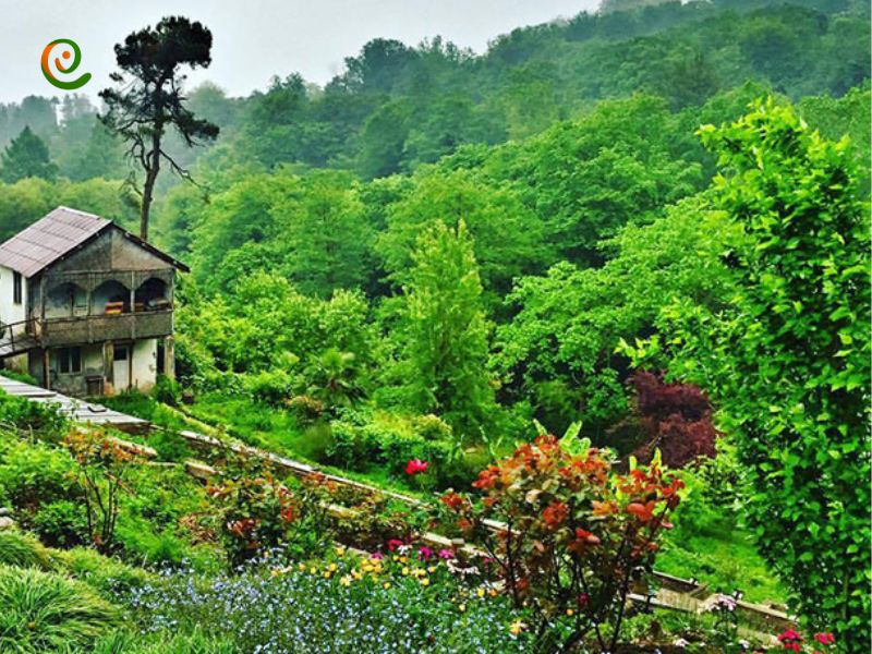 درباره باغ گیاه شناسی باتومی یکی از زیباترین جاذبه های گردشگری این شهر در دکوول بخوانید.